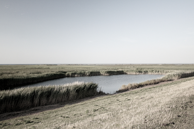 Killikus® Fotographie Killikus® Fotographie